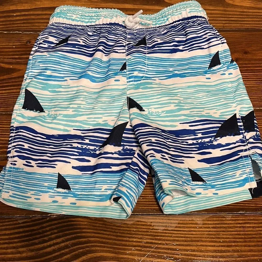 Childrens Place SPORT Boy’s Swimwear Bundle Size 2T